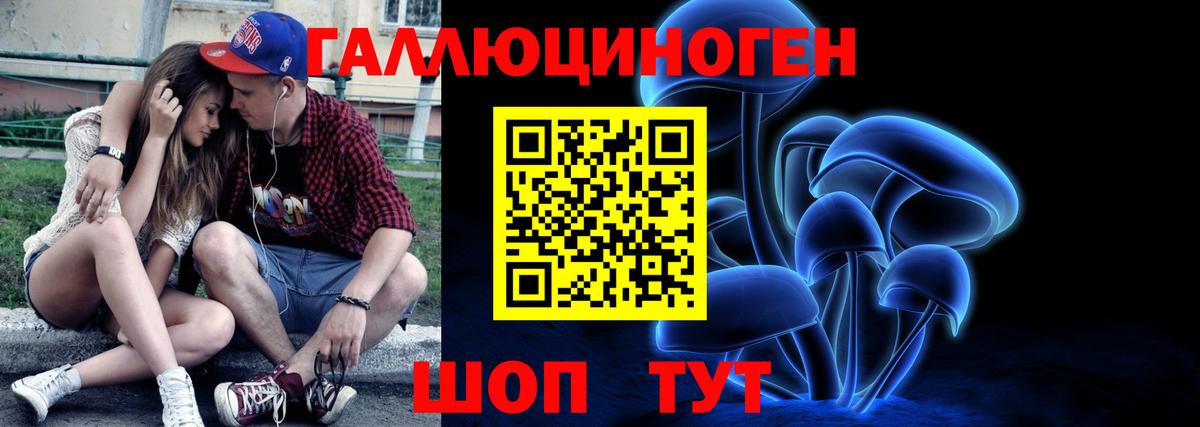 Псилоцибиновые грибы ЛСД Черняховск